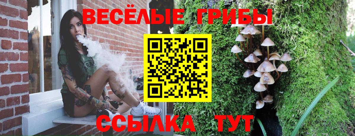 как найти   Вход с VPN  Псилоцибиновые грибы мухоморы  Губкин  Галлюциногенные грибы Psilocybine cubensis 