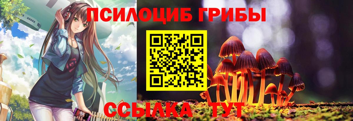 Галлюциногенные грибы MAGIC MUSHROOMS Губкин